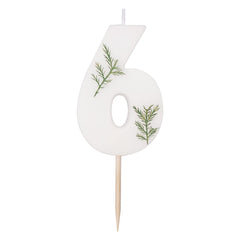 leaf-foliage-number-6-birthday-candle|MIX-581|Luck and Luck|2