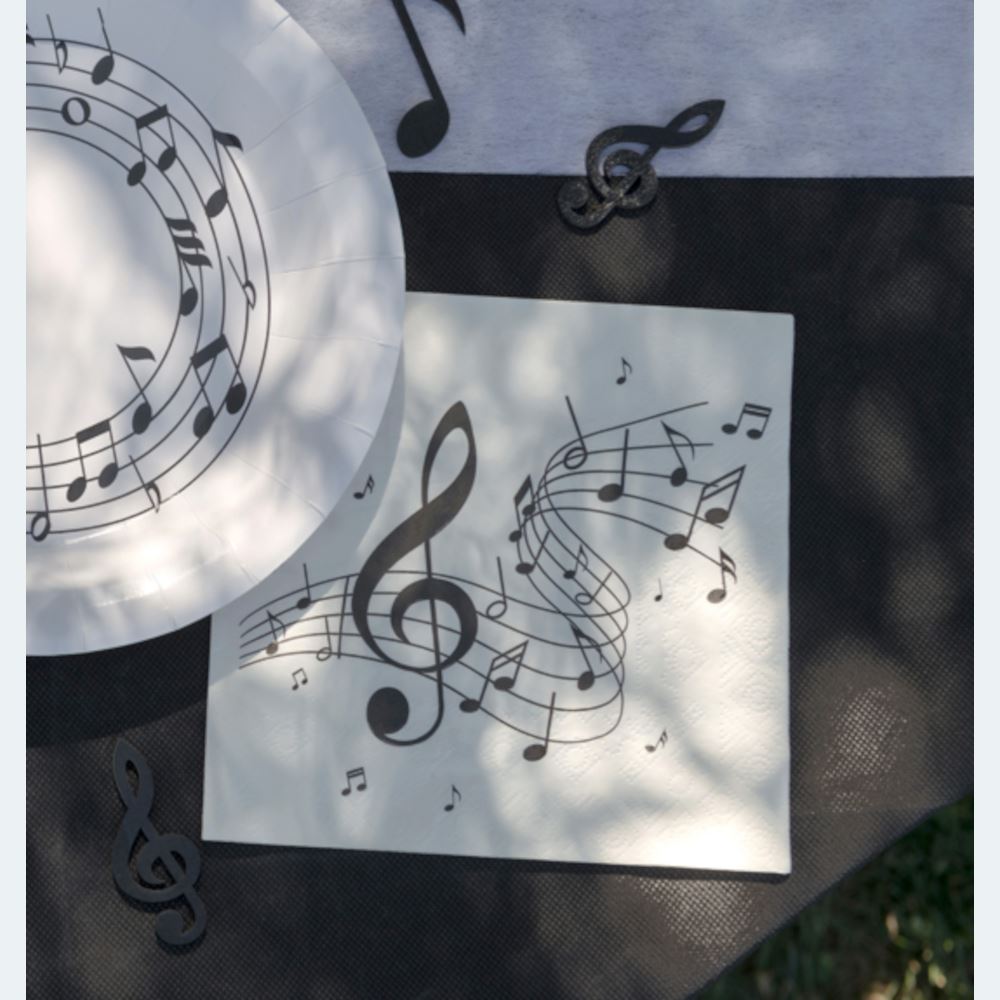 music-note-paper-party-napkins-x-20|836700000001|Luck and Luck| 1