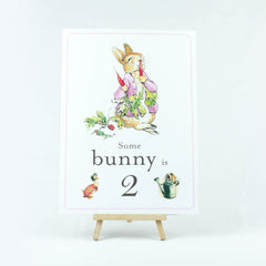 flopsy-rabbit-some-bunny-is-2-card-easel-peter-rabbit-2nd-birthday|STWFLOPSY2A4|Luck and Luck|2