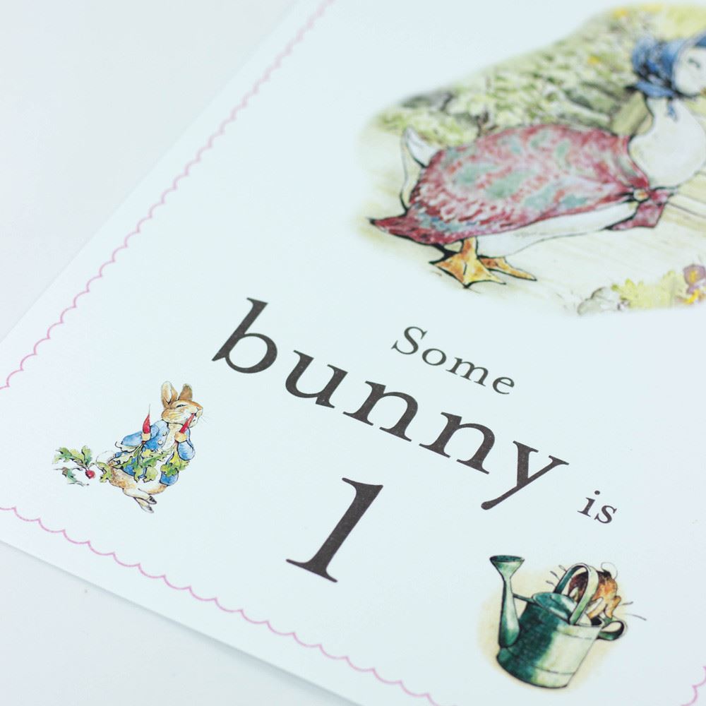 jemima-puddleduck-some-bunny-is-1-card-easel-peter-rabbit-first-birthday|STWJEMIMA1A4|Luck and Luck| 3