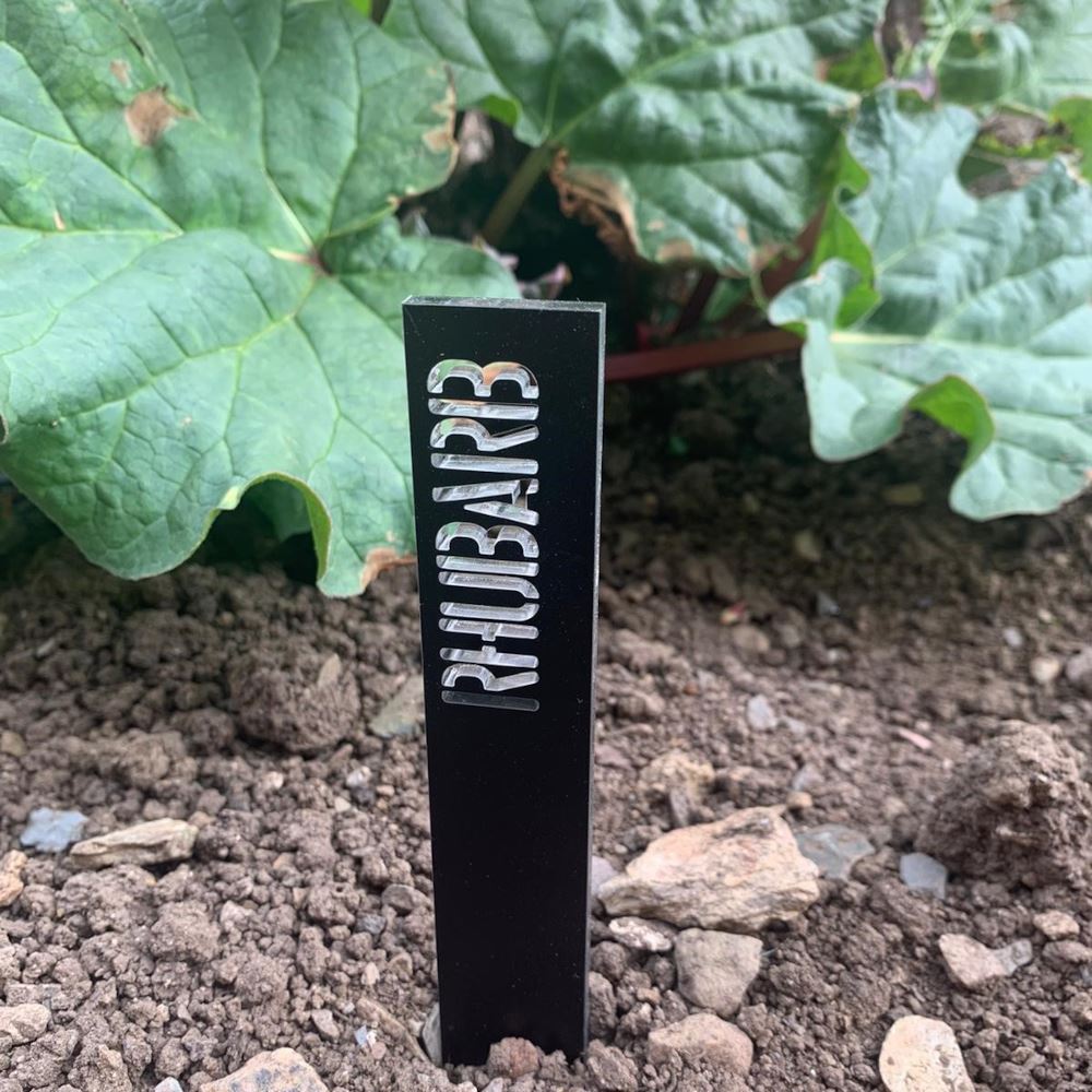 personalised-acrylic-vegetable-markers-veggie-garden|LLWWAVM|Luck and Luck| 6