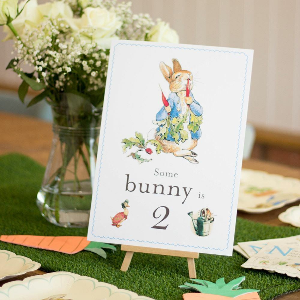 peter-rabbit-some-bunny-is-2-card-and-easel-2nd-birthday-decoration-sign|STWPR2A4|Luck and Luck| 1
