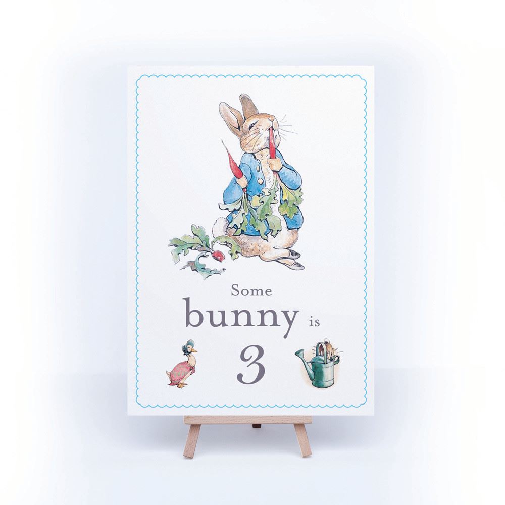 peter-rabbit-some-bunny-is-3-card-and-easel-3rd-birthday-decoration-sign|LLSTWPR3A4|Luck and Luck|2