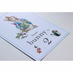 peter-rabbit-some-bunny-is-2-card-and-easel-2nd-birthday-decoration-sign|STWPR2A4|Luck and Luck| 3