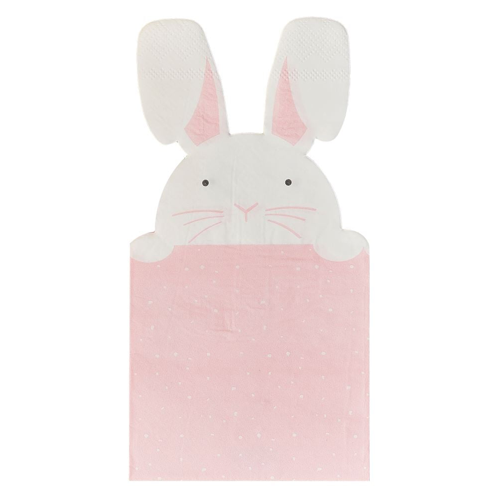 pastel-bunny-easter-party-paper-napkins-x-16|EGG-213|Luck and Luck| 3